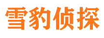 新城找人公司